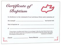 Certificate Adult Baptism: Red Dove Certificate Adult Baptism: Red Dove
