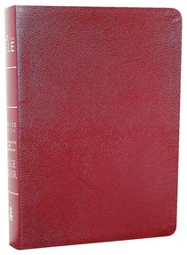 Amplified Joyce Meyer Everyday Life Bible Burgundy Amplified Joyce Meyer Everyday Life Bible Burgundy