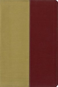 Kjv/Amplified Parallel Bible Italian Gold/Rich Red Duo-Tone Kjv/Amplified Parallel Bible Italian Gold/Rich Red Duo-Tone