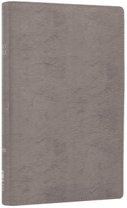 NIV Thinline Bible Metallic Silver (Red Letter Edition) NIV Thinline Bible Metallic Silver (Red Letter Edition)