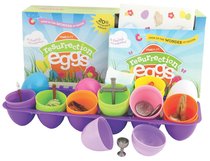 Resurrection Eggs (12 Plastic Eggs) Resurrection Eggs (12 Plastic Eggs)