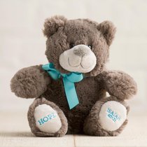 Hug For Your Heart Bear: Hope Isaiah 40:31, Dark Gray/Blue Ribbon Hug For Your Heart Bear: Hope Isaiah 40:31, Dark Gray/Blue Ribbon