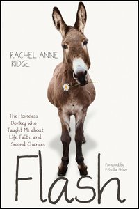 Flash: The Homeless Donkey Who Taught Me About Life, Faith, and Second Chances Flash: The Homeless Donkey Who Taught Me About Life, Faith, and Second Chances