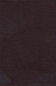 NKJV Charles F. Stanley Life Principles Indexed Burgundy NKJV Charles F. Stanley Life Principles Indexed Burgundy