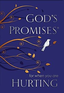 Gods Promises For When You Are Hurting Gods Promises For When You Are Hurting