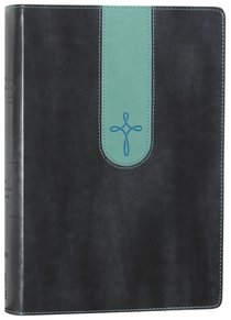 NIV Life Connect Study Bible (Red Letter Edition) NIV Life Connect Study Bible (Red Letter Edition)