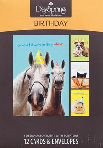 Boxed Cards Birthday: Humor Pets Boxed Cards Birthday: Humor Pets