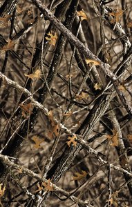 NIV Outdoorsman Bible Woods Prints Camo (Red Letter Edition) NIV Outdoorsman Bible Woods Prints Camo (Red Letter Edition)