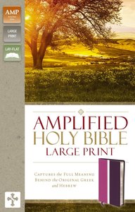 Amplified Holy Bible Large Print Dark Orchid Deep Plum Amplified Holy Bible Large Print Dark Orchid Deep Plum