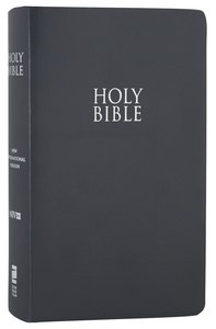 NIV Gift & Award Bible For Kids Slate Leather Look NIV Gift & Award Bible For Kids Slate Leather Look