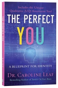 The Perfect You: Blueprint For Identity The Perfect You: Blueprint For Identity
