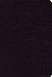 NIV Study Bible Regular Black (Red Letter Edition) NIV Study Bible Regular Black (Red Letter Edition)