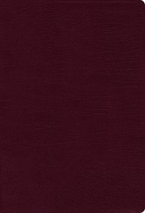 NIV Thinline Bible Giant Print Burgundy Red Letter Edition NIV Thinline Bible Giant Print Burgundy Red Letter Edition