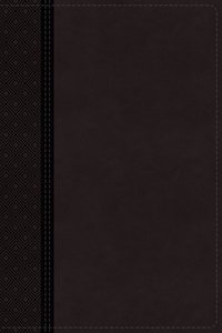 NIV Thinline Reference Bible Large Print Gray (Red Letter Edition) NIV Thinline Reference Bible Large Print Gray (Red Letter Edition)
