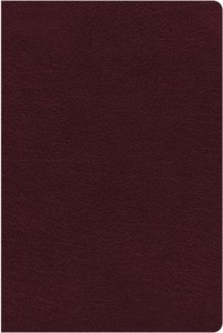NIV Biblical Theology Study Bible Burgundy Indexed (Black Letter Edition) NIV Biblical Theology Study Bible Burgundy Indexed (Black Letter Edition)