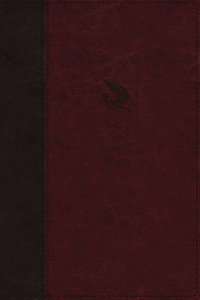 NKJV Spirit-Filled Life Bible Burgundy Indexed (Red Letter Edition) (Third Edition) NKJV Spirit-Filled Life Bible Burgundy Indexed (Red Letter Edition) (Third Edition)