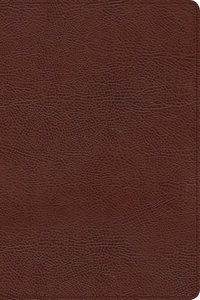 CSB Verse-By-Verse Reference Bible Brown (Black Letter Edition) CSB Verse-By-Verse Reference Bible Brown (Black Letter Edition)
